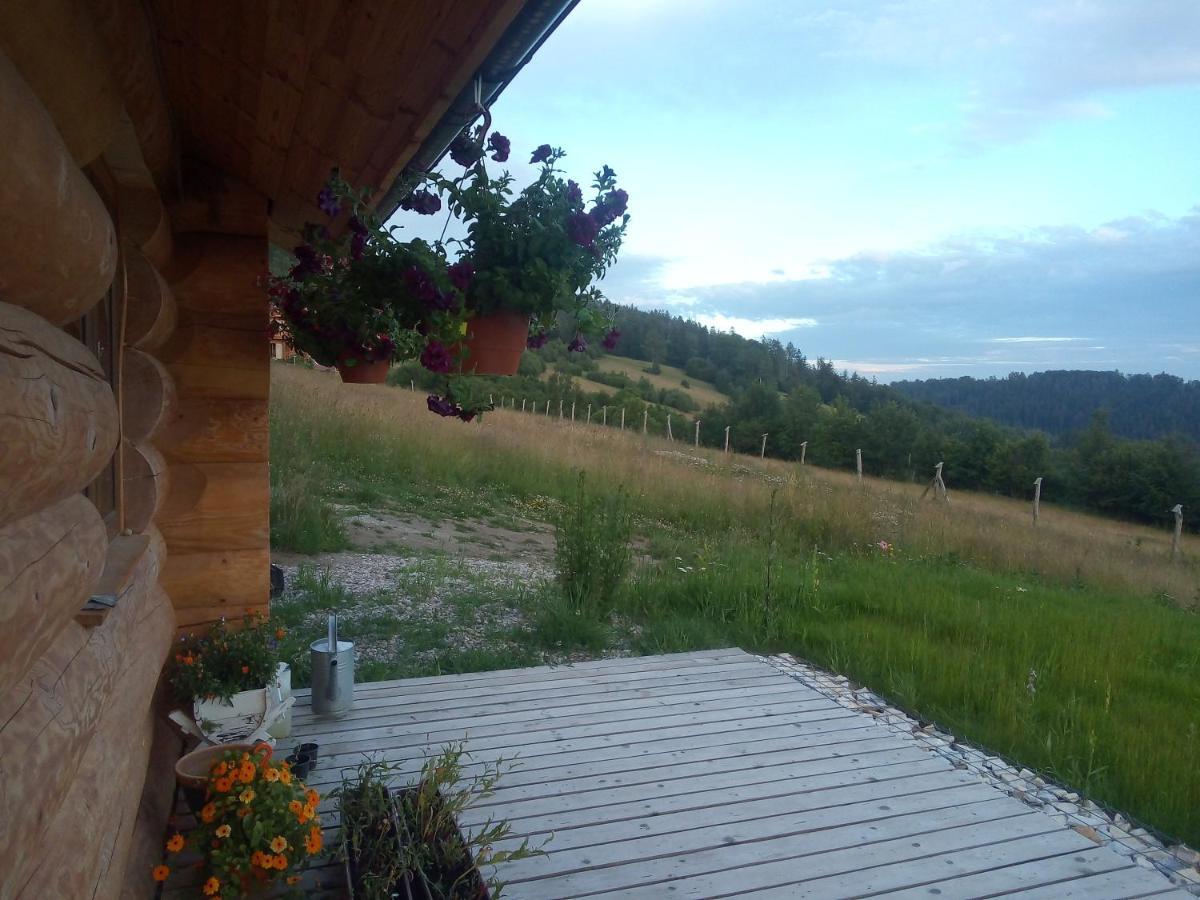 Domek W Gorach Sowich Jugow Exterior photo